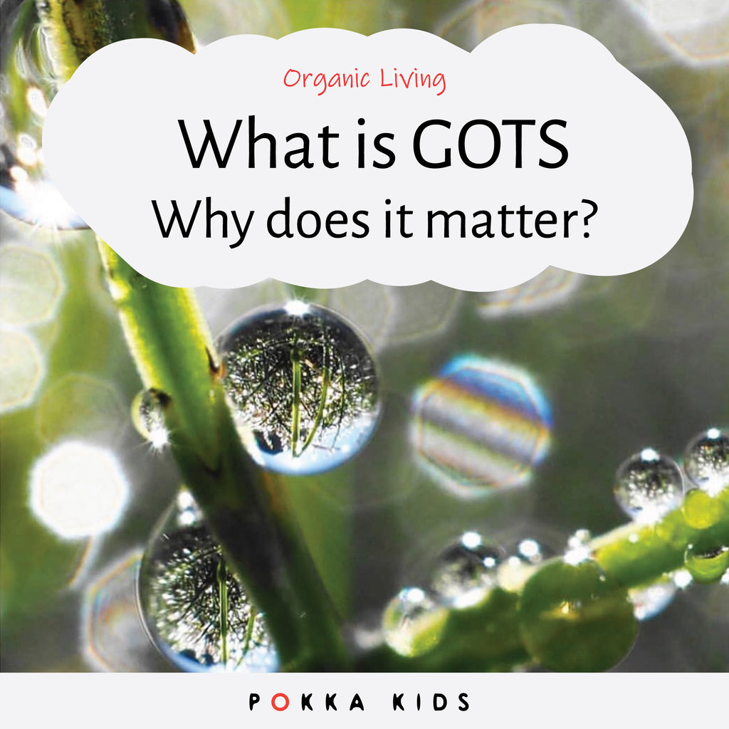 What is GOTS : Why does it Matter?